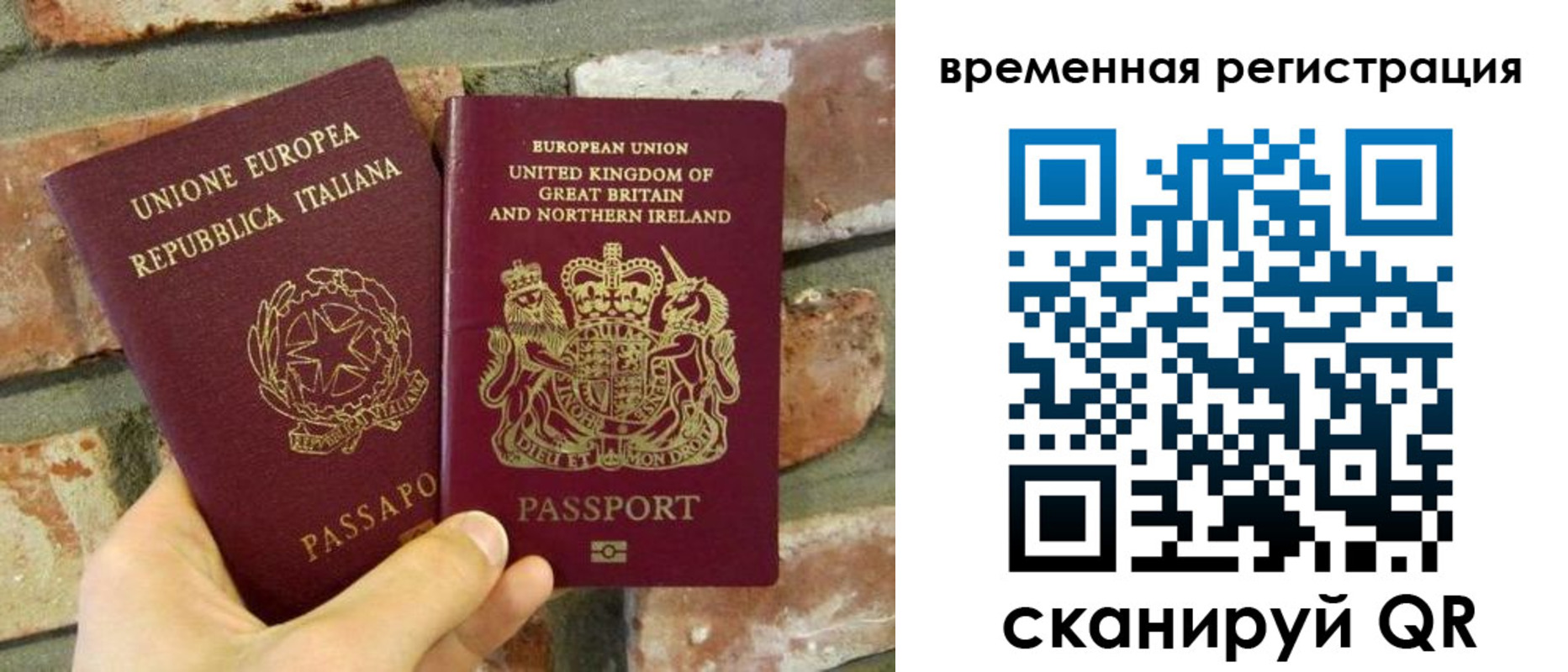 прописка для школы в Снежногорске